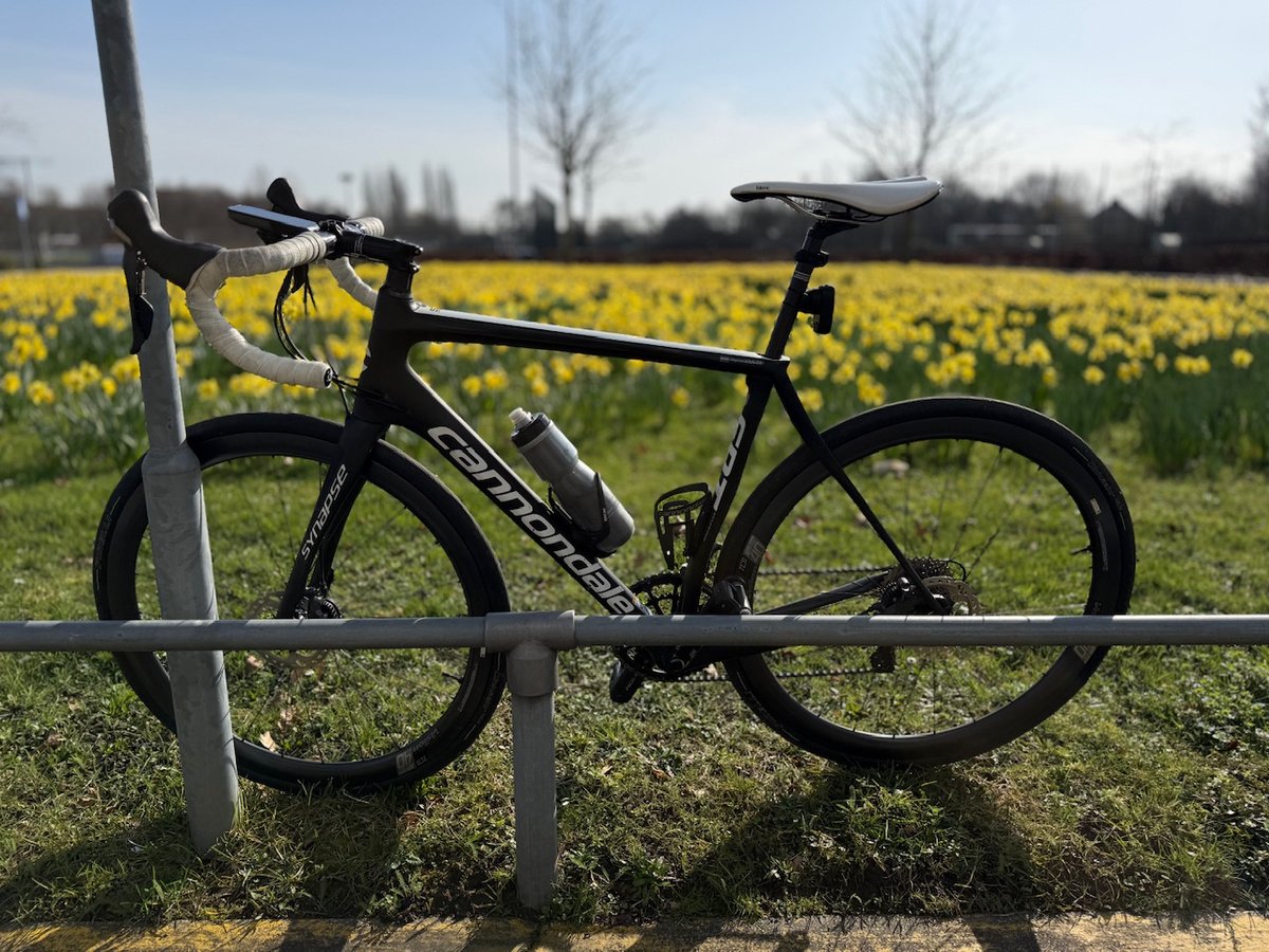 Cannondale Synapse