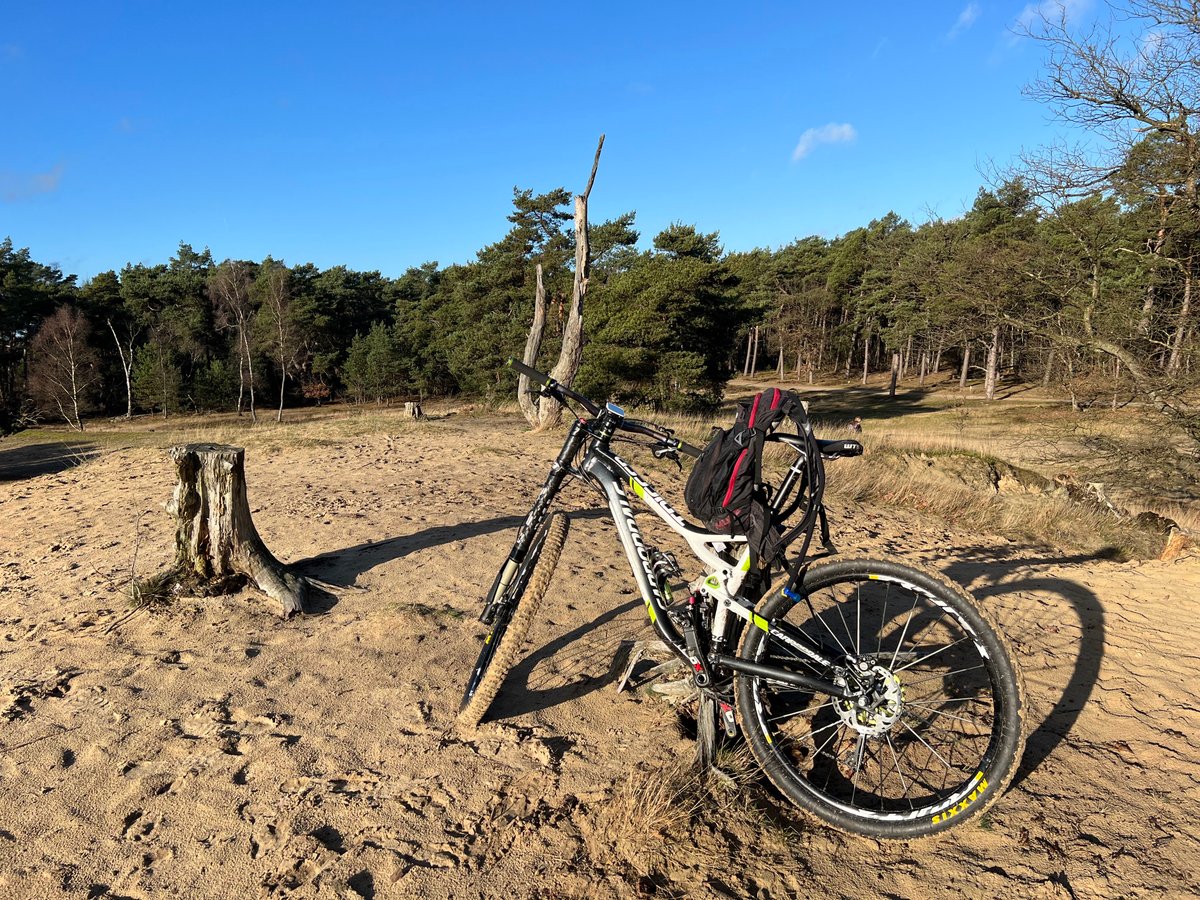 Cannondale Trigger