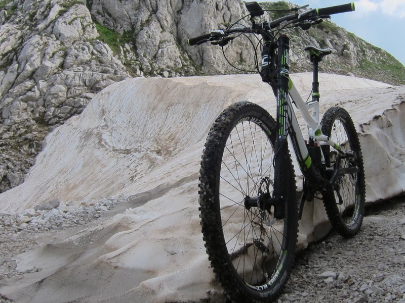 Cannondale Trigger