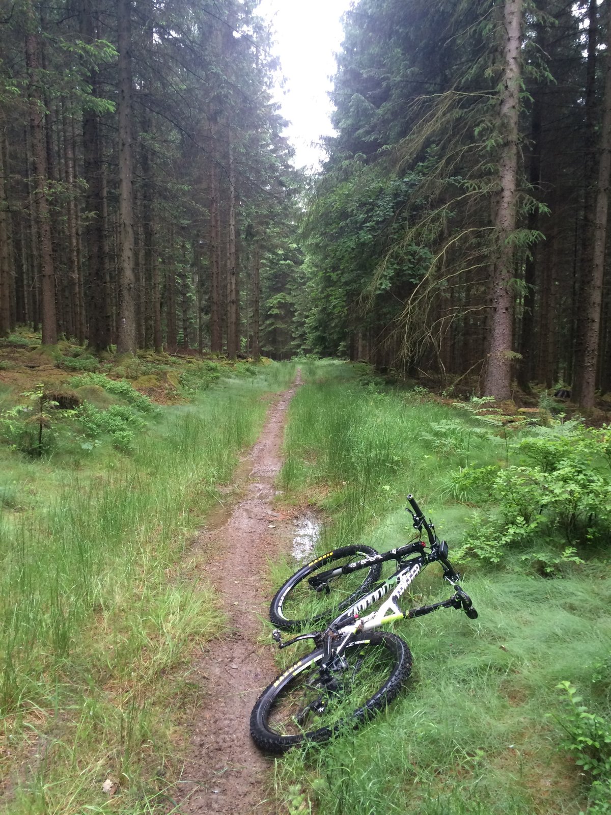 Cannondale Trigger