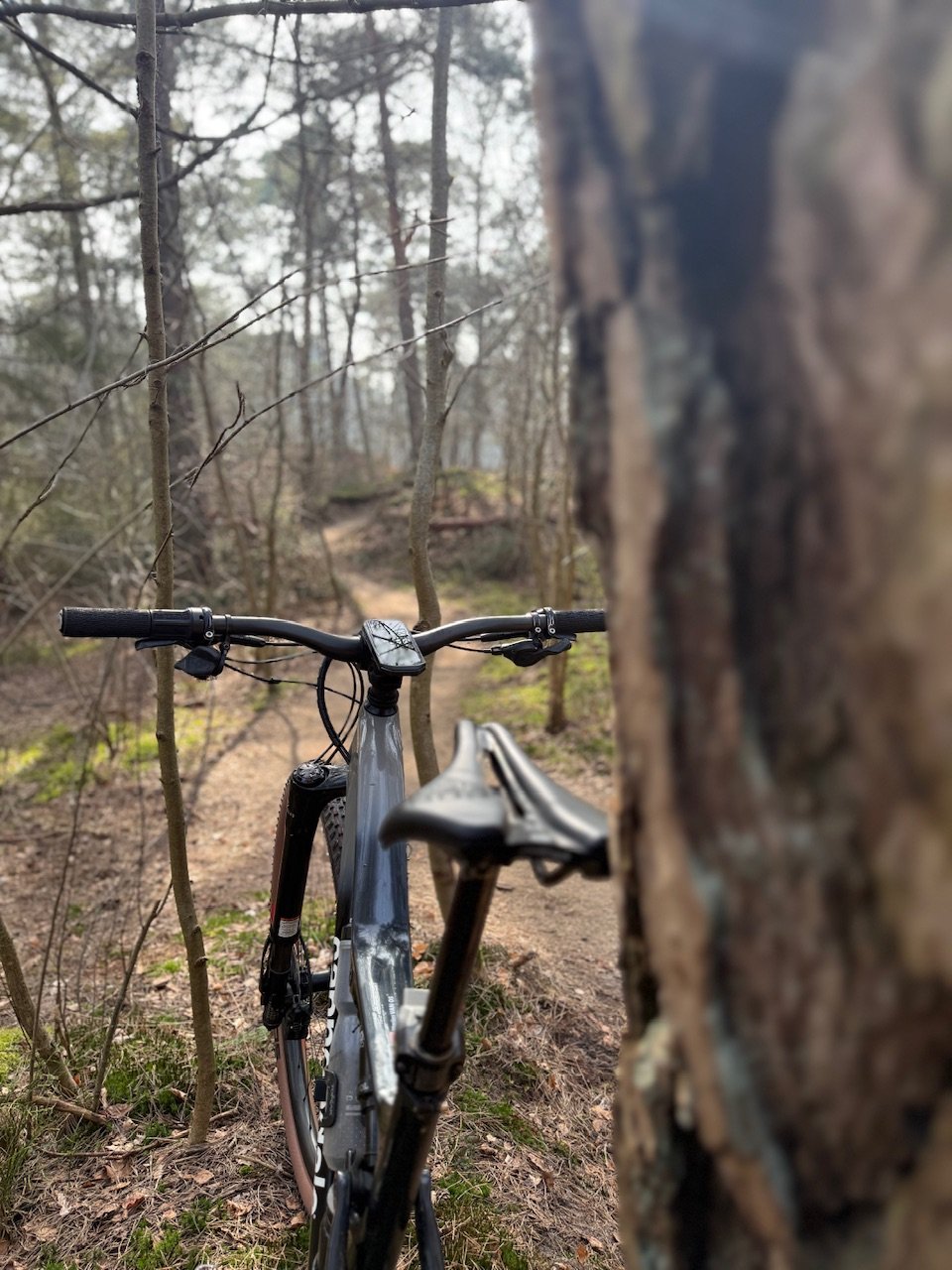 Cannondale Scalpel