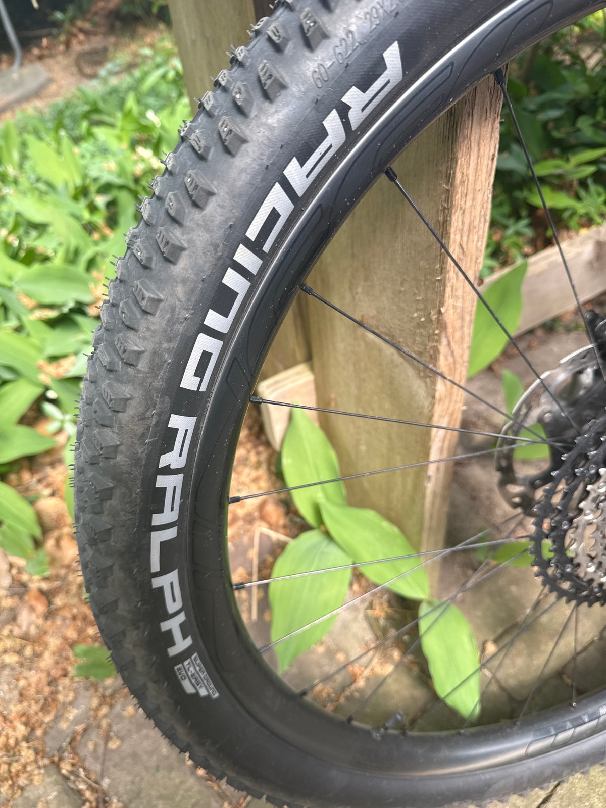 Schwalbe Racing Ralph HS490 SG 29"