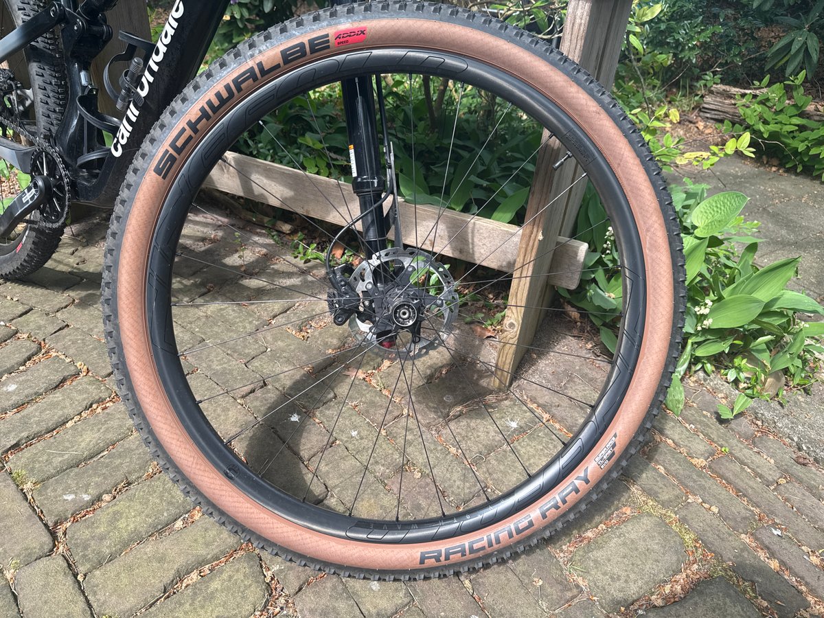 Schwalbe Racing Ray HS489 SR 29x2.35